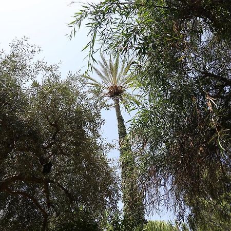 Casa Lorenzo Διαμέρισμα Porticello Εξωτερικό φωτογραφία